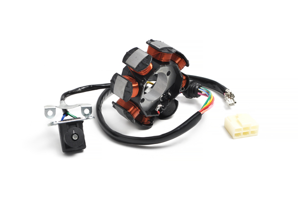 Статор в сборе 8 катушек двиг. ZS172FMM-3A (CB250-F) ZS174MN-3 (CBS300) pitbikemarket.ru