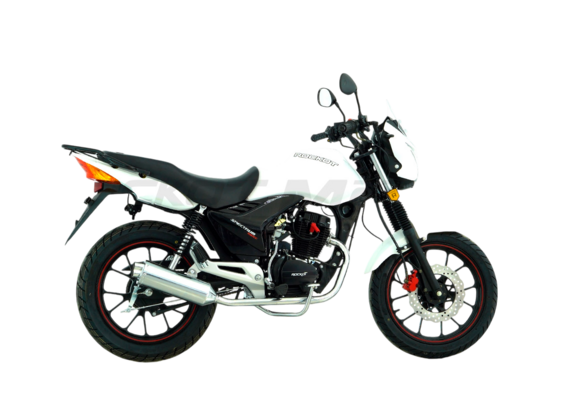 Мотоцикл дорожный ROCKOT SPECTRUM 150 (белый глянцевый, ЭПТС) pitbikemarket.ru
