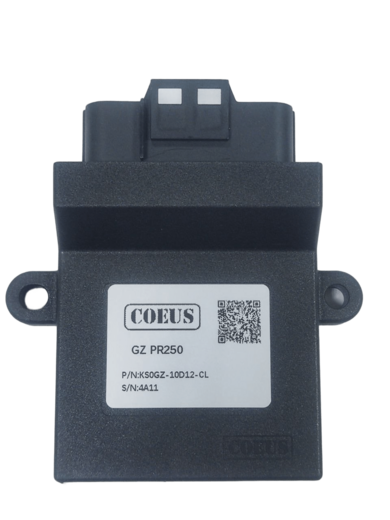 Электронный блок управления (ЭБУ) COEUS EFI ZS172 PR250 pitbikemarket.ru